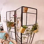 Apartament Cala Nova Studios,