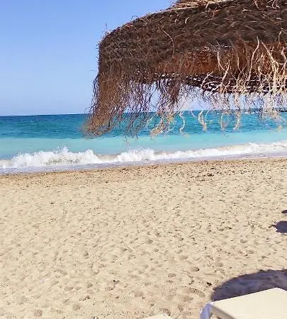 Cala Nova Studios, Διαμέρισμα